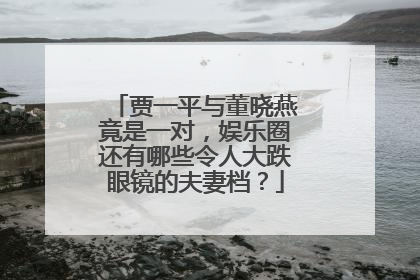 贾一平与董晓燕竟是一对,娱乐圈还有哪些令人大跌眼镜的夫妻档?