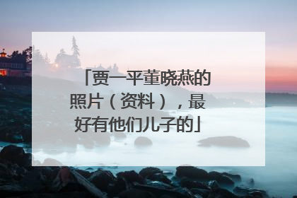 贾一平董晓燕的照片(资料),最好有他们儿子的