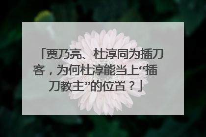 贾乃亮、杜淳同为插刀客,为何杜淳能当上“插刀教主”的位置?