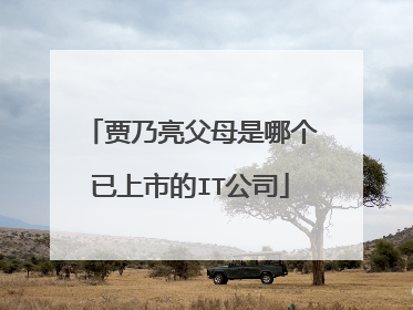 贾乃亮父母是哪个已上市的IT公司