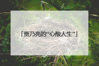 贾乃亮的“心酸人生”