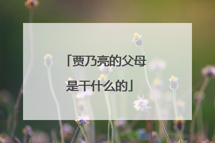 贾乃亮的父母是干什么的