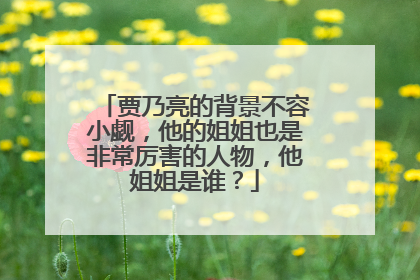 贾乃亮的背景不容小觑，他的姐姐也是非常厉害的人物，他姐姐是谁？