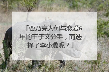 贾乃亮为何与恋爱6年的王子文分手，而选择了李小璐呢？