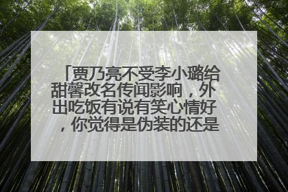 贾乃亮不受李小璐给甜馨改名传闻影响，外出吃饭有说有笑心情好，你觉得是伪装的还是已经释怀了？
