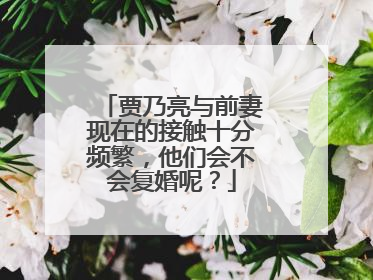 贾乃亮与前妻现在的接触十分频繁,他们会不会复婚呢?