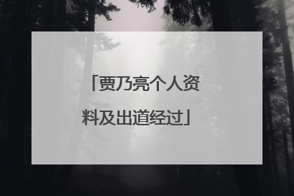 贾乃亮个人资料及出道经过