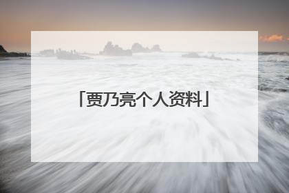 贾乃亮个人资料