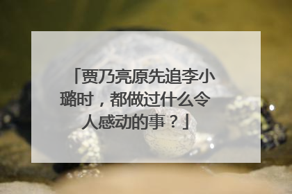 贾乃亮原先追李小璐时,都做过什么令人感动的事?