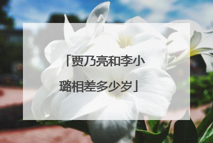 贾乃亮和李小璐相差多少岁