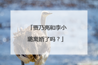 贾乃亮和李小璐离婚了吗?