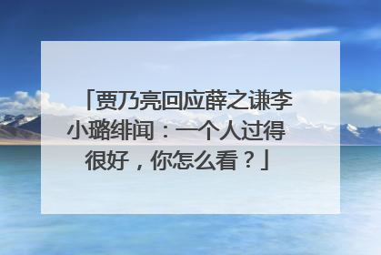 贾乃亮回应薛之谦李小璐绯闻：一个人过得很好，你怎么看？