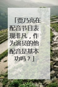 贾乃亮在配音节目表现非凡，作为演员的他配音是基本功吗？