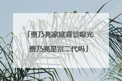 贾乃亮家庭背景曝光 贾乃亮是富二代吗