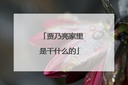 贾乃亮家里是干什么的