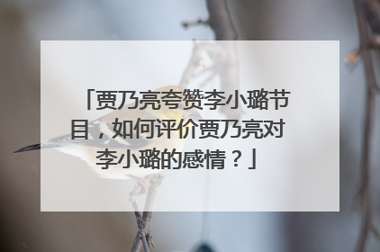 贾乃亮夸赞李小璐节目,如何评价贾乃亮对李小璐的感情?