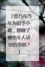 贾乃亮当年为追李小璐，都做了哪些令人动容的事情？