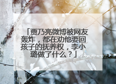 贾乃亮微博被网友轰炸,都在劝他要回孩子的抚养权,李小璐做了什么?