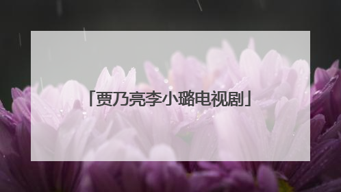 贾乃亮李小璐电视剧