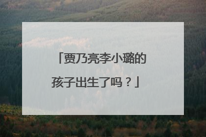 贾乃亮李小璐的孩子出生了吗?