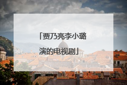 贾乃亮李小璐演的电视剧