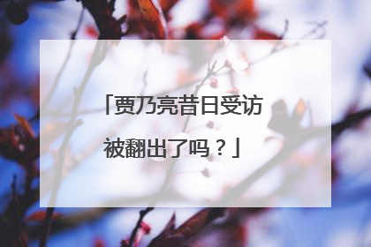 贾乃亮昔日受访被翻出了吗?