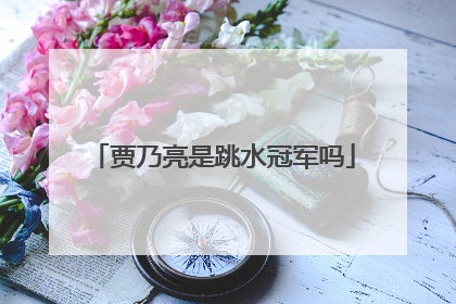 贾乃亮是跳水冠军吗