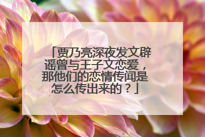 贾乃亮深夜发文辟谣曾与王子文恋爱，那他们的恋情传闻是怎么传出来的？