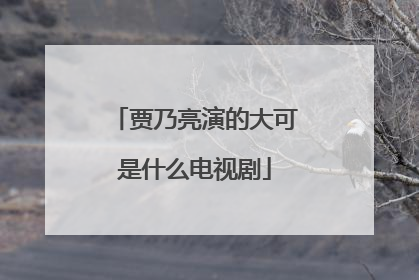 贾乃亮演的大可是什么电视剧