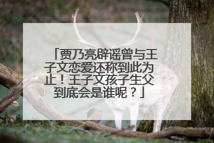 贾乃亮辟谣曾与王子文恋爱还称到此为止!王子文孩子生父到底会是谁呢?