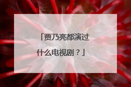 贾乃亮都演过什么电视剧?