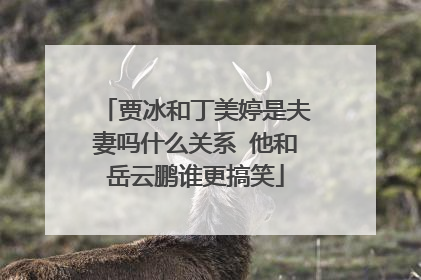 贾冰和丁美婷是夫妻吗什么关系 他和岳云鹏谁更搞笑