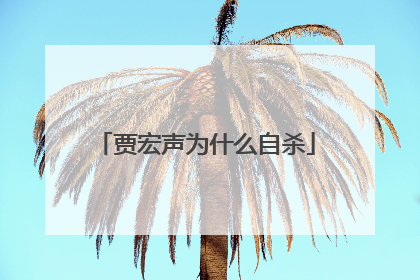 贾宏声为什么自杀