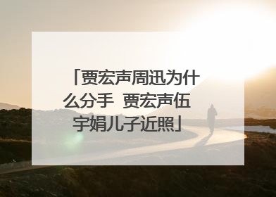 贾宏声周迅为什么分手 贾宏声伍宇娟儿子近照