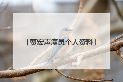 贾宏声演员个人资料