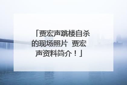 贾宏声跳楼自杀的现场照片 贾宏声资料简介!