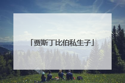 贾斯丁比伯私生子