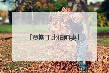 贾斯丁比伯前妻