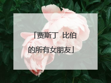 贾斯丁 比伯的所有女朋友