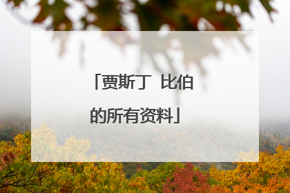 贾斯丁 比伯的所有资料