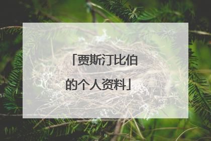 贾斯汀比伯的个人资料
