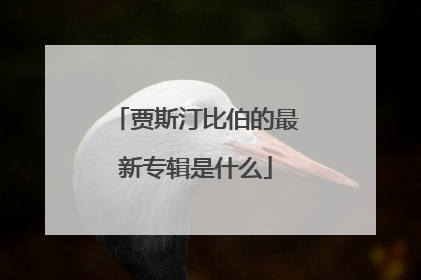 贾斯汀比伯的最新专辑是什么