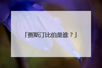 贾斯汀比伯是谁?