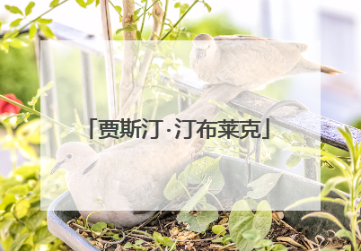 贾斯汀·汀布莱克