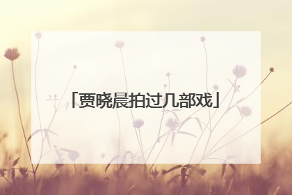 贾晓晨拍过几部戏