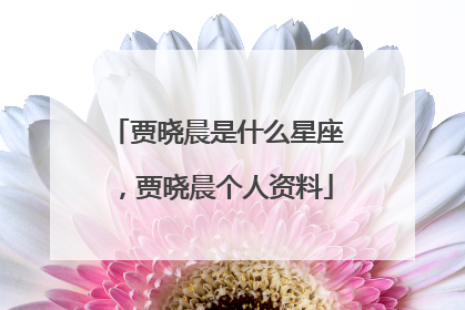 贾晓晨是什么星座，贾晓晨个人资料