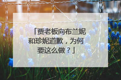 贾老板向布兰妮和珍妮道歉，为何要这么做？