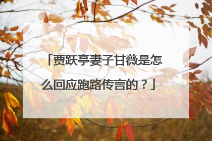 贾跃亭妻子甘薇是怎么回应跑路传言的？