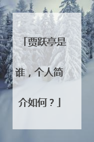 贾跃亭是谁，个人简介如何？