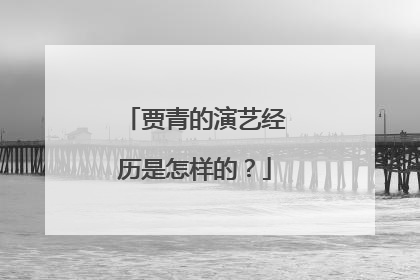 贾青的演艺经历是怎样的?